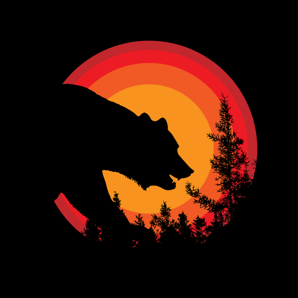 forest, bear, silhouette-5587153.jpg
